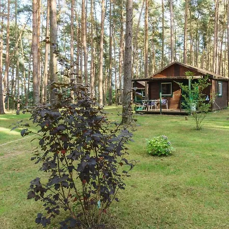 Urlaub Im Mitten Im Wald *