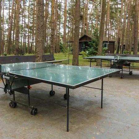 Campsite Urlaub Im Mitten Im Wald *