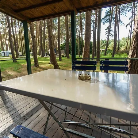 Urlaub Im Mitten Im Wald