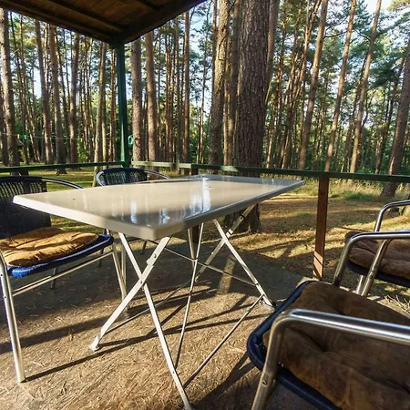 Urlaub Im Mitten Im Wald Campsite Lutow