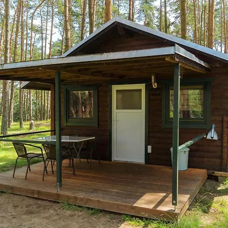 Urlaub Im Mitten Im Wald Camping Lutow