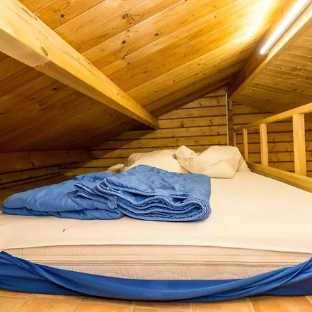 Urlaub Im Mitten Im Wald Camping