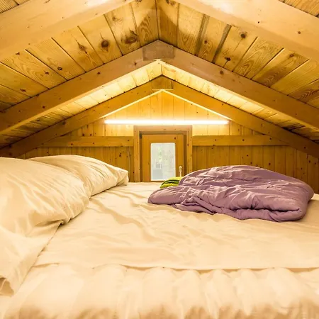 Kamp alanı Urlaub Im Mitten Im Wald Lutow