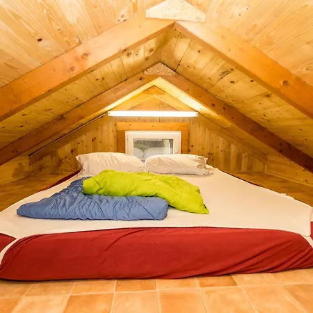 Urlaub Im Mitten Im Wald