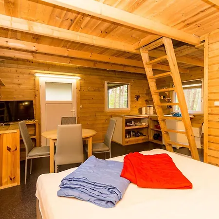 Urlaub Im Mitten Im Wald Camping