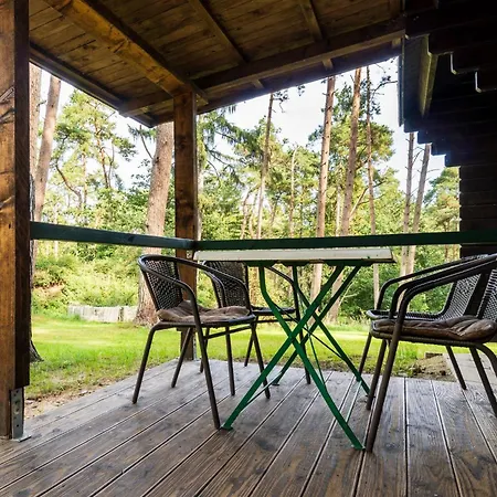 Urlaub Im - Mitten Im Wald Camping