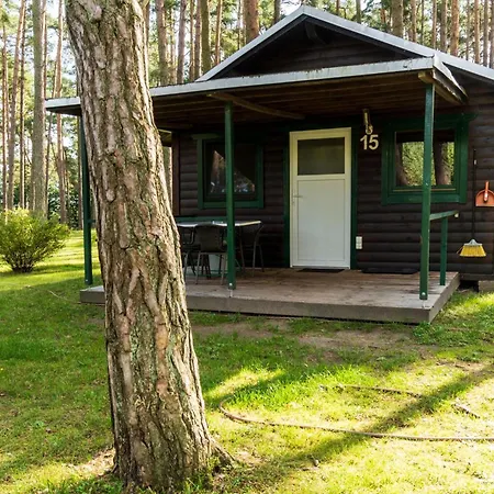 Urlaub Im - Mitten Im Wald