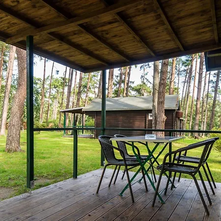 Urlaub Im Mitten Im Wald Kamp alanı