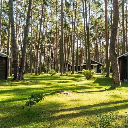 Kamp alanı Urlaub Im Mitten Im Wald *