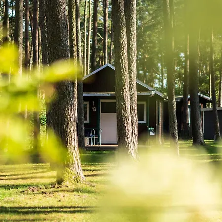 Urlaub Im - Mitten Im Wald
