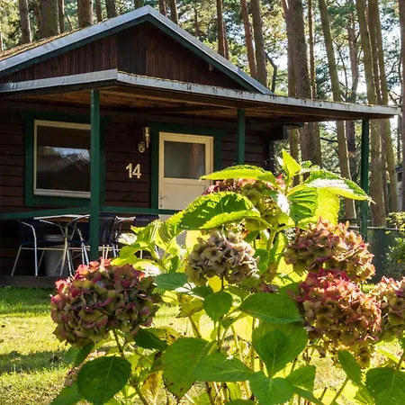 Urlaub Im Mitten Im Wald *