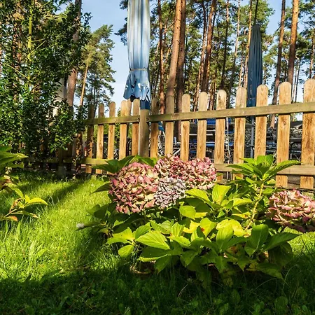 Urlaub Im Mitten Im Wald Kamp alanı