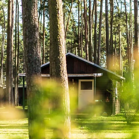 Urlaub Im Mitten Im Wald *