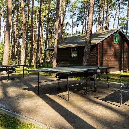 Urlaub Im Mitten Im Wald * Lutow