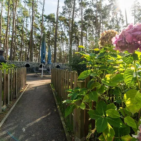 Kamp alanı Urlaub Im Mitten Im Wald Lutow