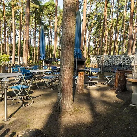 Urlaub Im Mitten Im Wald Lutow